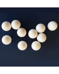 Voetballen wit p/10 stuks